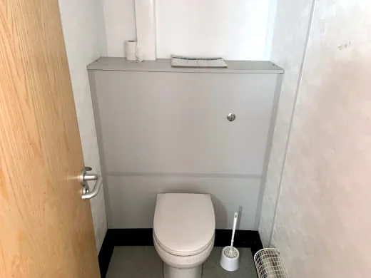Toilet cubicle with a grey panelled cistern wall, white toilet, toilet brush and timber-look door.